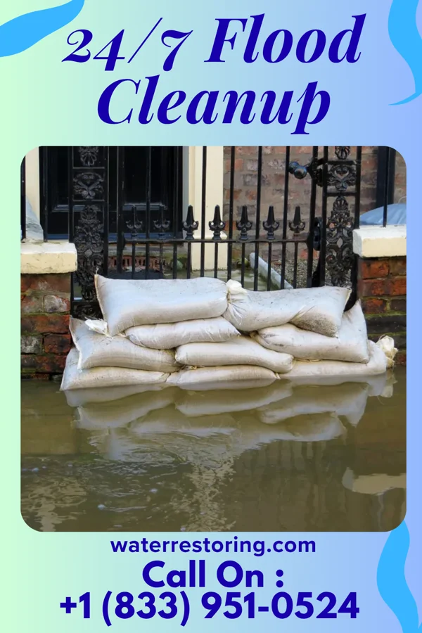 24/7 Flood Cleanup in Dunkirk, IN