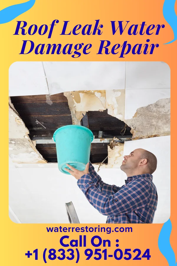 Roof Leak Water Damage Repair in Dunkirk, IN